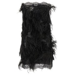 Lace and feather dress