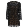Lace dress with jewel collar