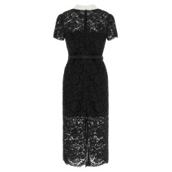 Lace dress with collar