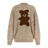 Caridgan Teddy Bear