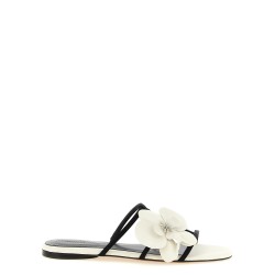 'Orchid' slides