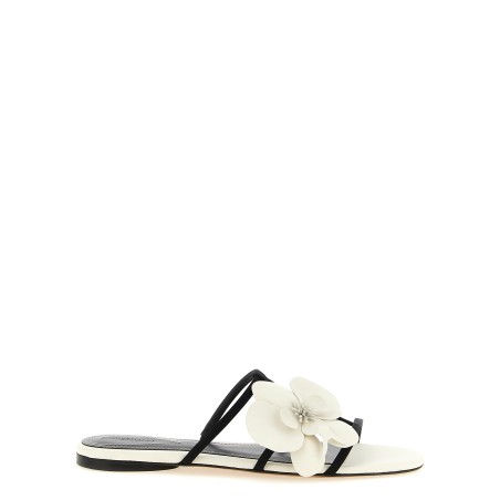 'Orchid' slides