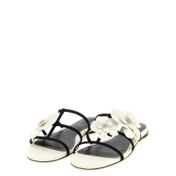'Orchid' slides