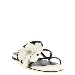 'Orchid' slides