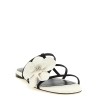 'Orchid' slides
