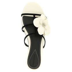 'Orchid' slides
