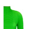 'Wooly Pleats-68' blouse
