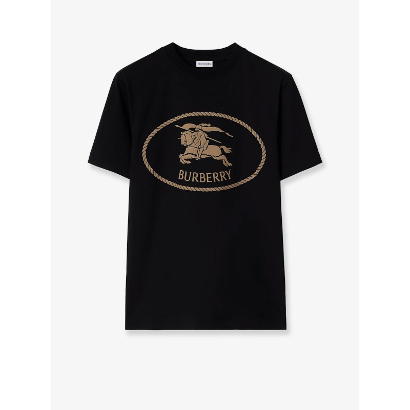 Seth organic cotton blend t-shirt