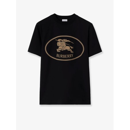 Seth organic cotton blend t-shirt
