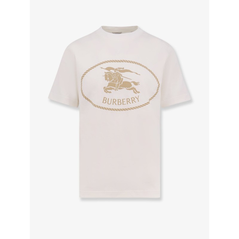 Seth organic cotton blend t-shirt