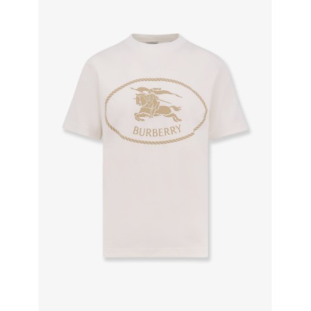 Seth organic cotton blend t-shirt
