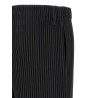 'Color Pleats 1' pants