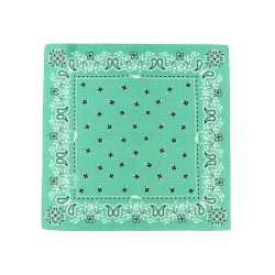 'French Bandana' print scarf