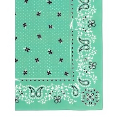 'French Bandana' print scarf