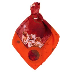 'Zodiac Flag' scarf