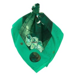 'Zodiac Flag' scarf