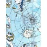 'Zodiac Flag' scarf