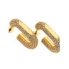 Earrings with crystals
