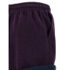 American fleece shorts